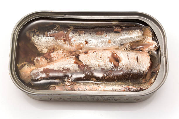 istock Sardines in oil Canned 513293816