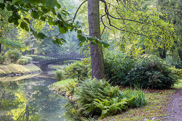 istock Japanese garden 513293957