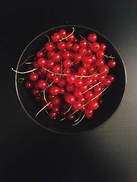 Red currants in a black bowl with dark background