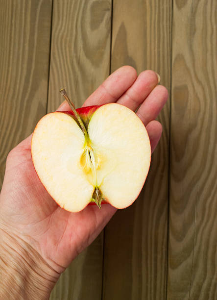 istock Apple in the palm. 513295814