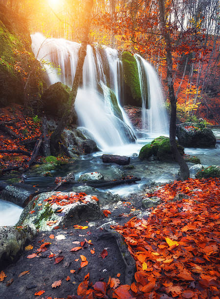istock Waterfall at mountain river in autumn forest at sunset. 513296932