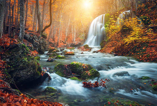 cachoeira do rio de montanha no outono floresta ao pôr do sol. - scenics waterfall autumn rock - fotografias e filmes do acervo