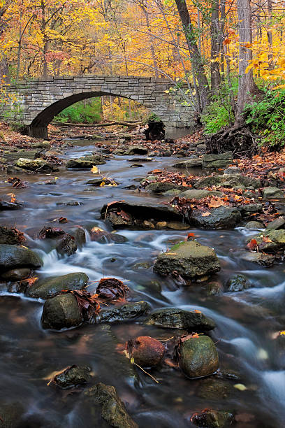 istock Bridge to Autumn 513298958