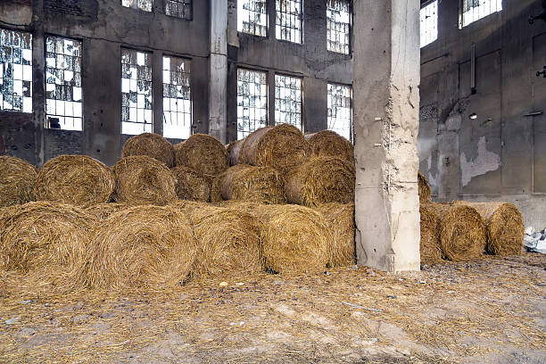 istock Straw bales on straw storage 513299714