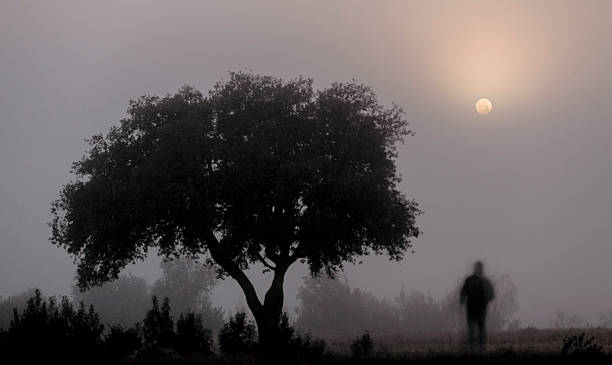 istock Nostalgic view of the full moon 513303412
