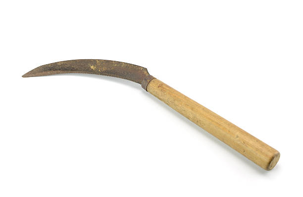 istock sickle on the white background 513304386