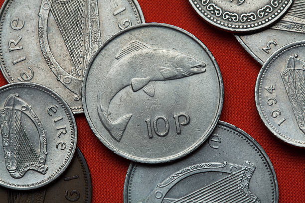 istock Coins of Ireland. Salmon 513304986