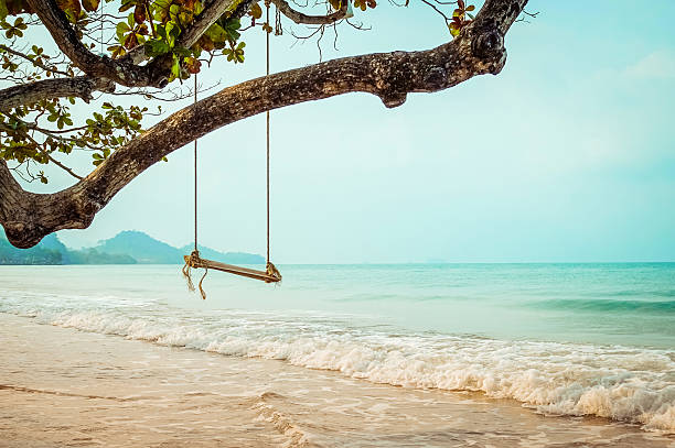 istock Wooden swing on  tropical beach 513305338