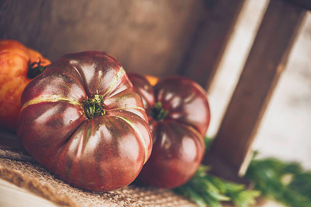 kolekcja pomidory.   organiczne ziomal świeże pomidory.   zdrowa żywność. - heirloom tomato organic tomato rustic zdjęcia i obrazy z banku zdjęć