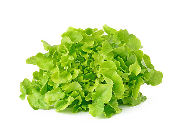 istock fresh green lettuce leaves isolated on white 513307804