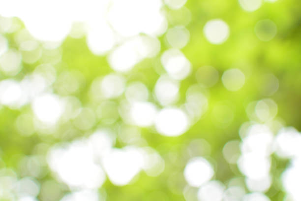 istock green bokeh abstract natural background 513310284