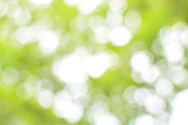 istock green bokeh abstract natural background 513310632