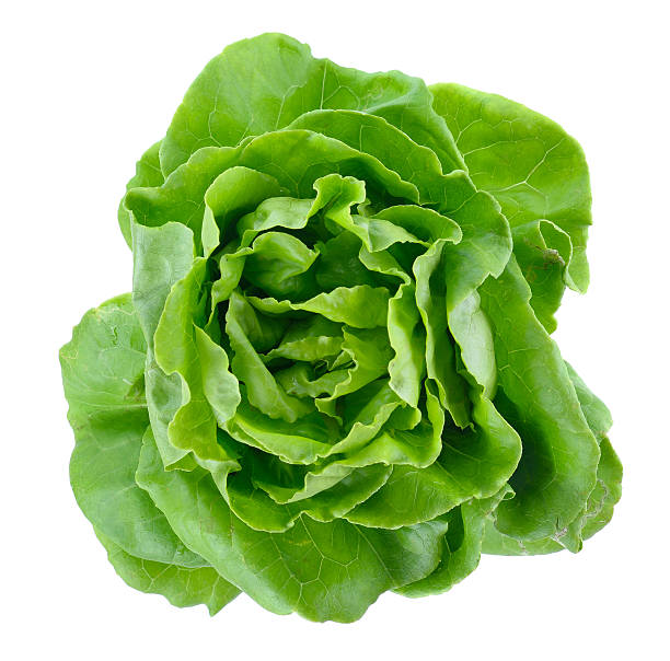 istock Fresh green lettuce isolated on white 513310776