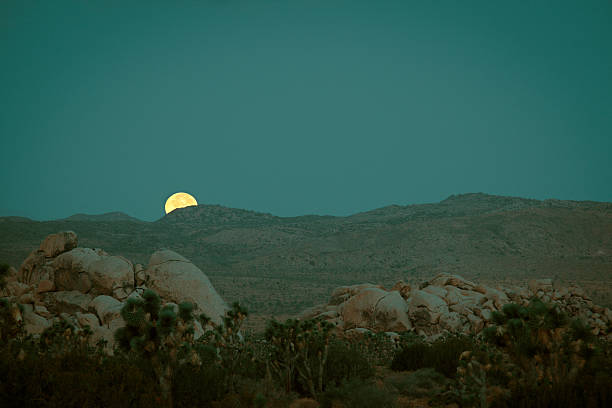 istock Full Moon at Joshua Tree National Park 513310788
