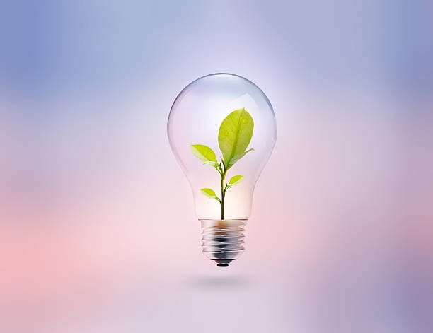 istock light bulb with energy and fresh green leaves inside 513312414