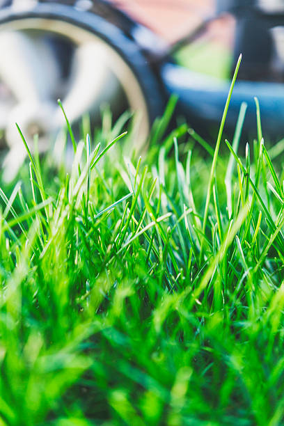 Lawnmower in freshly mowed lawn with uncut grass in foreground