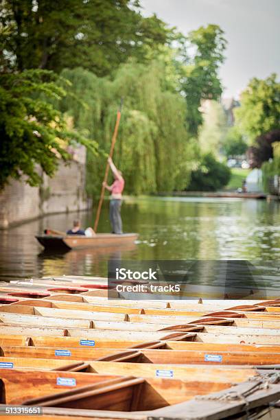 Punting On The River Cam Cambridge Uk Stock Photo - Download Image Now - Cambridge - England, UK, People