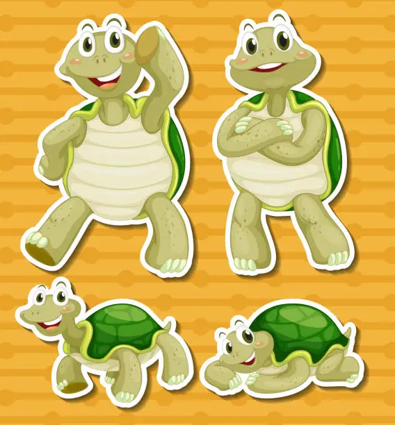 Vector illustration of Turtle set