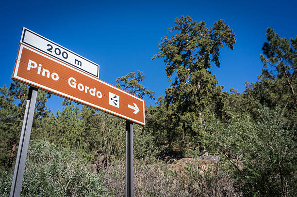 istock Road sign to Pino Gordo 513317264