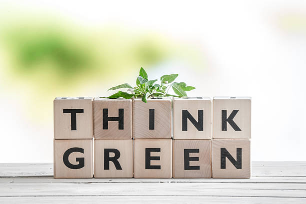 istock Think green sign with a plant 513318904