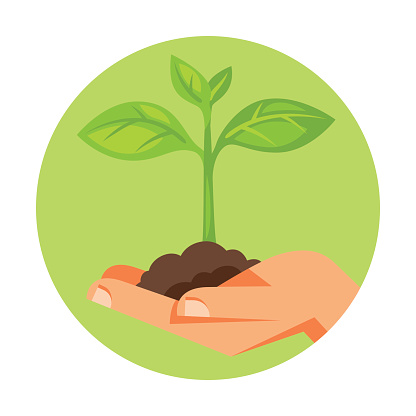 Illustration of human hand holding green small plant.