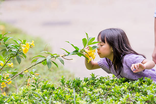 istock Chinese girl in a Park 513319783