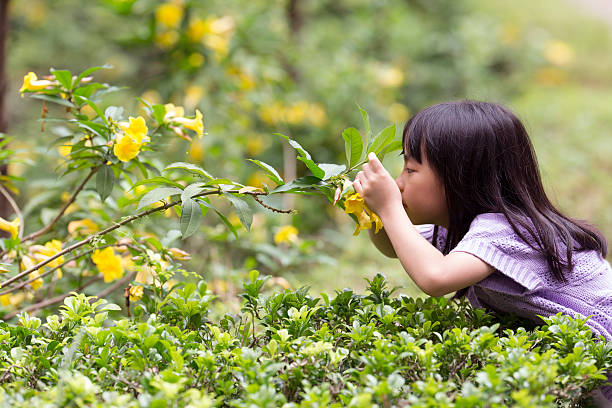 istock Chinese girl in a Park 513319789