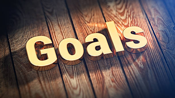 istock Word Goals on wood planks 513319842