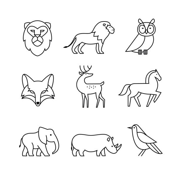 Popular Wild Life Animals Thin Line Art Icons Set Stock Illustration - Download Image Now - Line Art, Lion - Feline, Fox - iStock Popular Wild Life Animals Thin Line Art Icons Set Stock Illustration - Download Image Now - Line Art, Lion - Feline, Fox - iStock