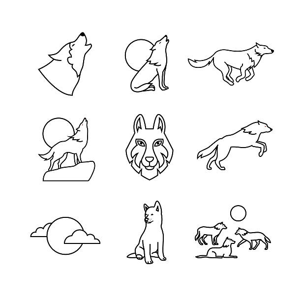 Wolves Hauling At The Full Moon On Rock Stock Illustration - Download Image Now - Wolf, Coyote, Line Art - iStock Wolves Hauling At The Full Moon On Rock Stock Illustration - Download Image Now - Wolf, Coyote, Line Art - iStock
