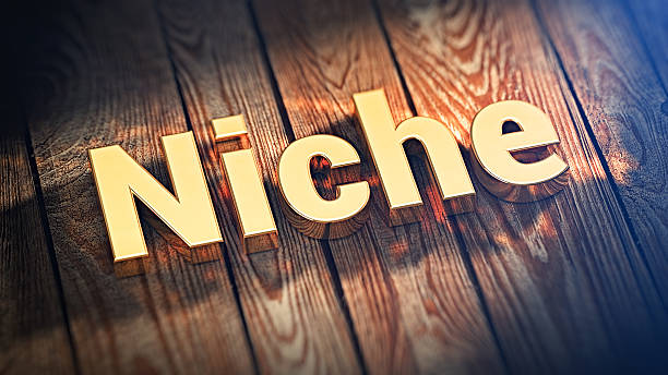 istock Word Niche on wood planks 513320052