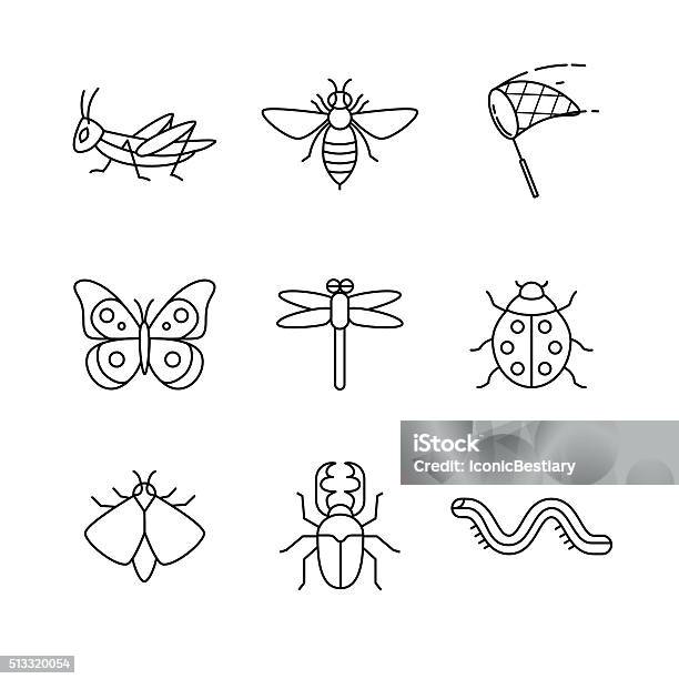 Insects Thin Line Art Icons Set Stock Illustration - Download Image Now - Butterfly - Insect, Grasshopper, Butterfly Net