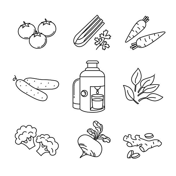 illustrazioni stock, clip art, cartoni animati e icone di tendenza di verdure e frutta centrifuga, spremiagrumi - juice celery drink vegetable