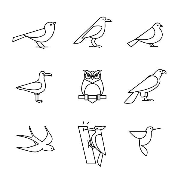 ilustraciones, imágenes clip art, dibujos animados e iconos de stock de aves conjunto de iconos de arte de línea fina - canturrear