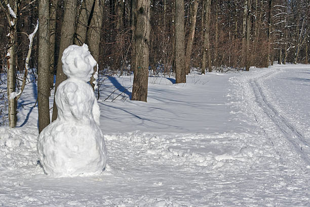 istock Snowman   in the winter woods. 513321520