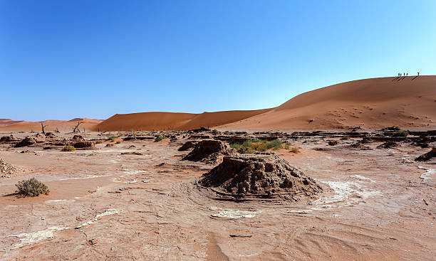 istock Dune in Hidden Vlei in Namib desert 513324884
