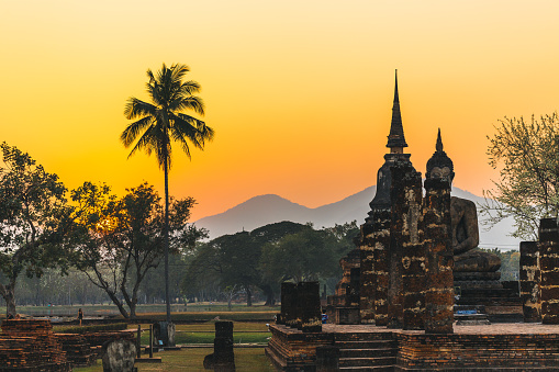 This enchanting photograph captures the splendor of a temple nestled amidst lush greenery in Ayutthaya, Thailand.