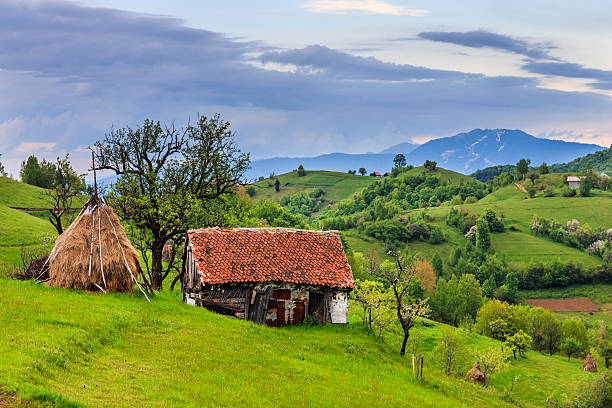 istock Hay at the mountain farm 513325524