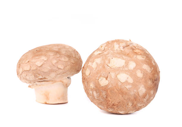 istock Brown mushroom mushrooms. 513352829