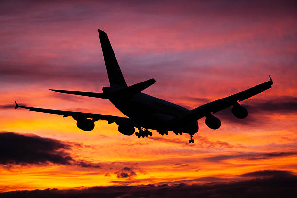 istock Jet airplane landing at dusk 513352843