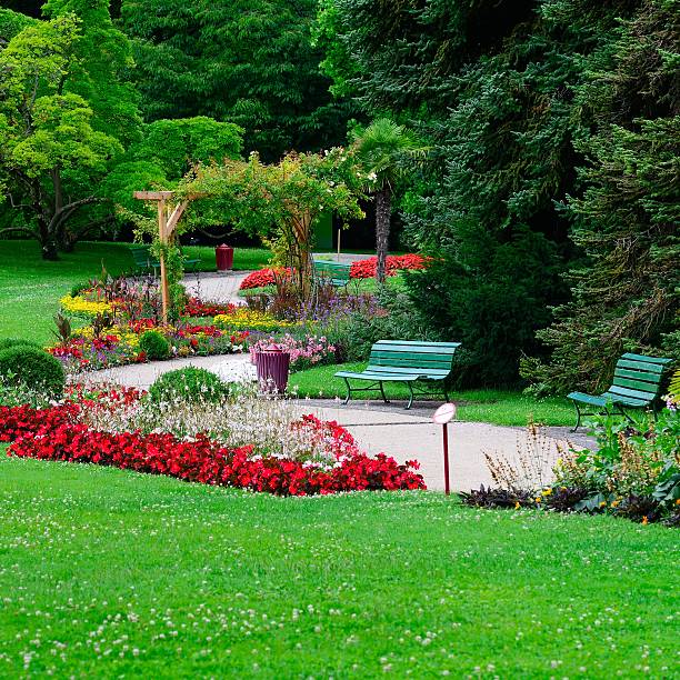 istock Blooming flowers in the garden 513355027
