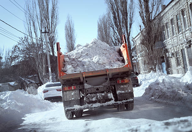 istock Snow in the truck 513355835