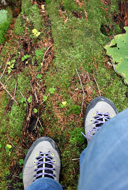 istock Close-up of hiking shoes 513356879
