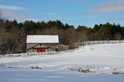 The Horse Latitudes, New England Winter Farm Scene with white fence, red barn doors, and gold horse signThe Horse Latitudes, New England Winter Stable Scene with white fence, red barn doors, and gold horse sign