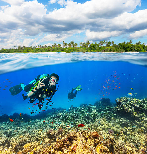 istock Underwater coral reef with scuba divers 513363054