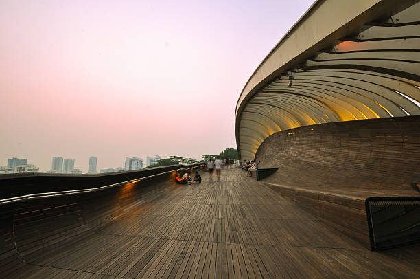 istock Henderson Waves bridge in evening at Singapore 513364740