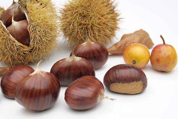 istock chestnuts with wild fruits 513364956