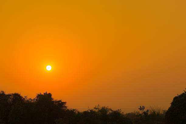 istock Under the bright sun. Abstract natural backgrounds 513365044