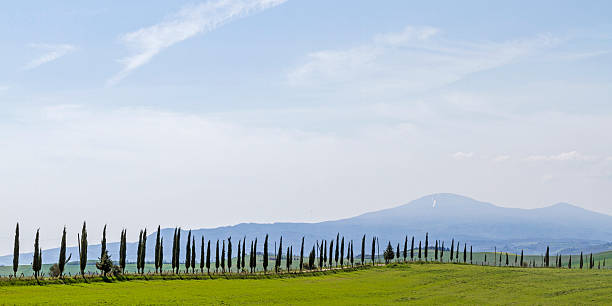 istock Cypress alley in Crete 513367014