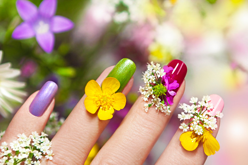 Multicolored manicure with natural field and meadow flowers.